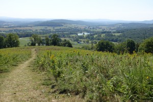 Sky Meadow State Park